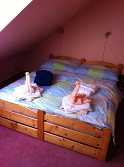 Pension Modrin Pec pod Snezkou Room photo